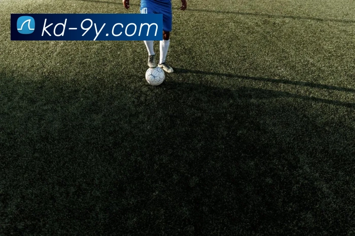 九游官网发展历程